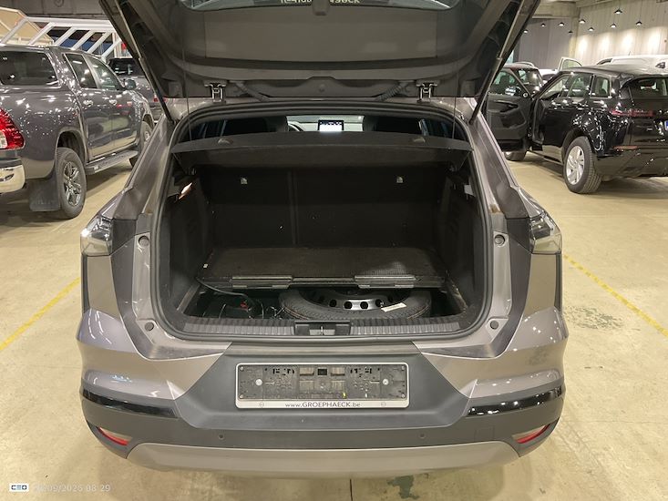 Renault Symbioz — photo 12