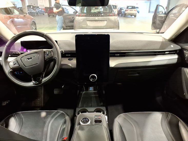 Ford Mustang — photo 6