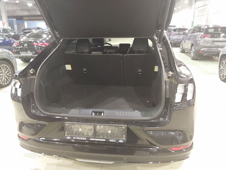 Ford Mustang — photo 3
