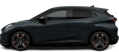 Cupra Raval