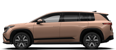 Skoda Peaq