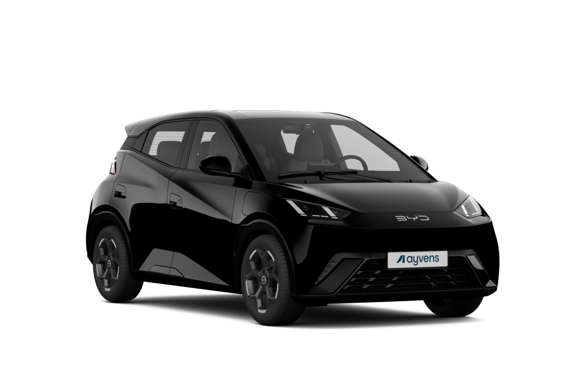 Byd Dolphin Surf
